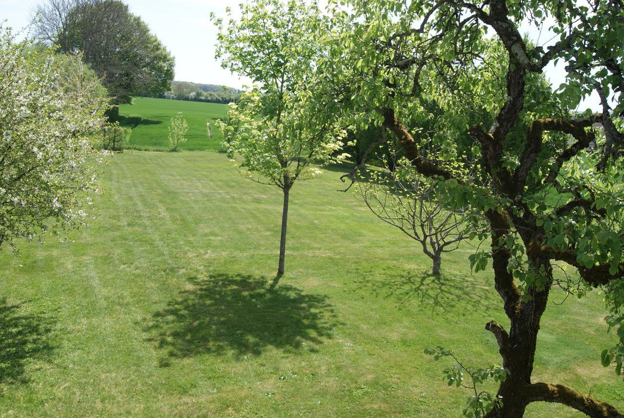 Le Lac Aux Fees Henrichemont Exterior foto