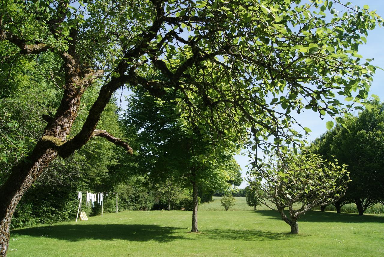 Le Lac Aux Fees Henrichemont Exterior foto